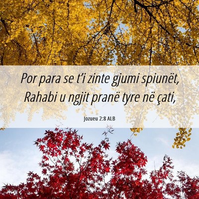 Picture 06 - Jozueu 2:8 ALB - Por para se t’i zinte gjumi spiunët, Rahabi u - Bible Verse Picture