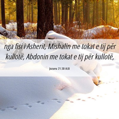 Picture 06 - Jozueu 21:30 ALB - nga fisi i Asherit, Mishalin me tokat e tij për - Bible Verse Picture