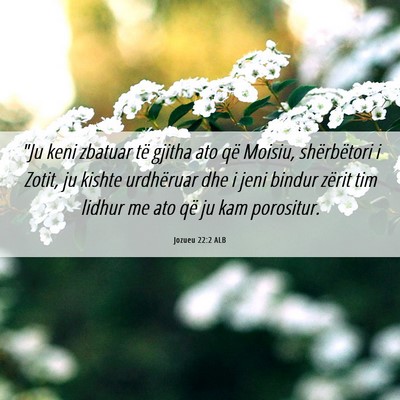 Picture 06 - Jozueu 22:2 ALB - 