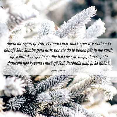 Picture 06 - Jozueu 23:13 ALB - dijeni me siguri që Zoti, Perëndia juaj, nuk ka - Bible Verse Picture
