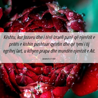 Picture 06 - Jozueu 8:21 ALB - Kështu, kur Jozueu dhe i tërë Izraeli panë - Bible Verse Picture