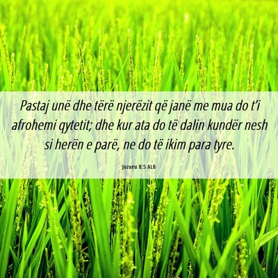 Picture 06 - Jozueu 8:5 ALB - Pastaj unë dhe tërë njerëzit që janë me mua - Bible Verse Picture