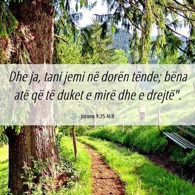 Picture 06 - Jozueu 9:25 ALB - Dhe ja, tani jemi në dorën tënde; bëna atë - Bible Verse Picture