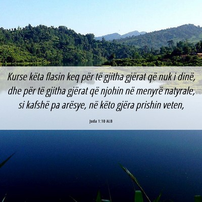 Picture 06 - Juda 1:10 ALB - Kurse këta flasin keq për të gjitha gjërat - Bible Verse Picture