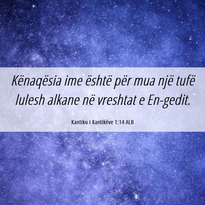 Picture 06 - Kantiku i Kantikëve 1:14 ALB - Kënaqësia ime është për mua një tufë - Bible Verse Picture