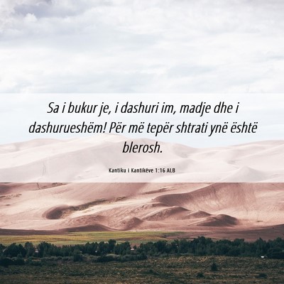 Picture 06 - Kantiku i Kantikëve 1:16 ALB - Sa i bukur je, i dashuri im, madje dhe i - Bible Verse Picture