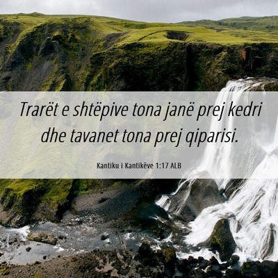 Picture 06 - Kantiku i Kantikëve 1:17 ALB - Trarët e shtëpive tona janë prej kedri dhe - Bible Verse Picture