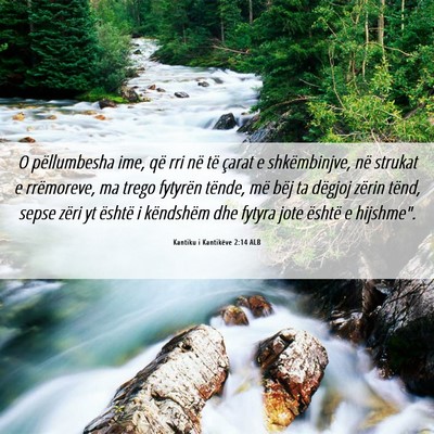 Picture 06 - Kantiku i Kantikëve 2:14 ALB - O pëllumbesha ime, që rri në të çarat e - Bible Verse Picture