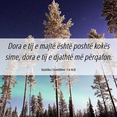 Picture 06 - Kantiku i Kantikëve 2:6 ALB - Dora e tij e majtë është poshtë kokës sime, - Bible Verse Picture