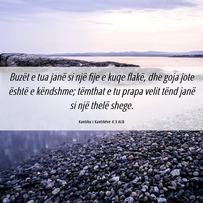Picture 06 - Kantiku i Kantikëve 4:3 ALB - Buzët e tua janë si një fije e kuqe flakë, - Bible Verse Picture