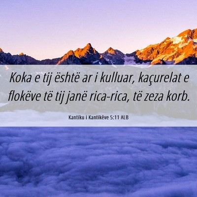 Picture 06 - Kantiku i Kantikëve 5:11 ALB - Koka e tij është ar i kulluar, kaçurelat e - Bible Verse Picture