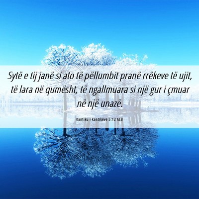 Picture 06 - Kantiku i Kantikëve 5:12 ALB - Sytë e tij janë si ato të pëllumbit pranë - Bible Verse Picture