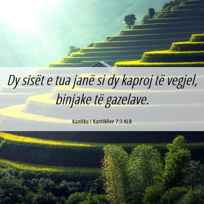 Picture 06 - Kantiku i Kantikëve 7:3 ALB - Dy sisët e tua janë si dy kaproj të vegjel, - Bible Verse Picture