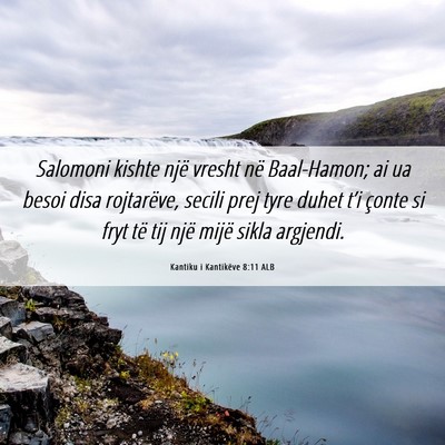 Picture 06 - Kantiku i Kantikëve 8:11 ALB - Salomoni kishte një vresht në Baal-Hamon; ai ua - Bible Verse Picture