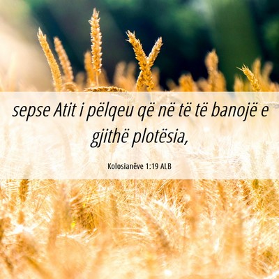 Picture 06 - Kolosianëve 1:19 ALB - sepse Atit i pëlqeu që në të të banojë e - Bible Verse Picture
