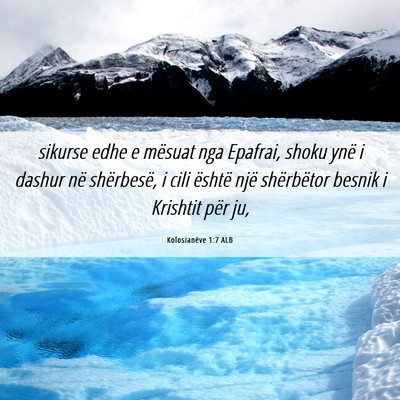 Picture 06 - Kolosianëve 1:7 ALB - sikurse edhe e mësuat nga Epafrai, shoku ynë i - Bible Verse Picture