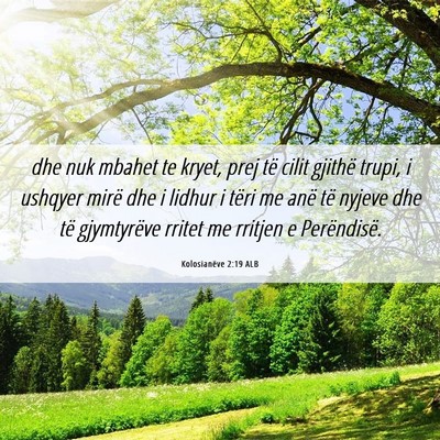 Picture 06 - Kolosianëve 2:19 ALB - dhe nuk mbahet te kryet, prej të cilit gjithë - Bible Verse Picture