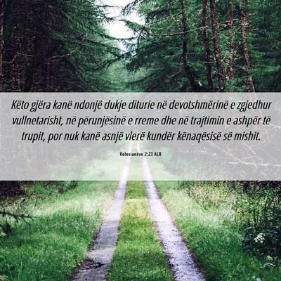 Picture 06 - Kolosianëve 2:23 ALB - Këto gjëra kanë ndonjë dukje diturie në - Bible Verse Picture