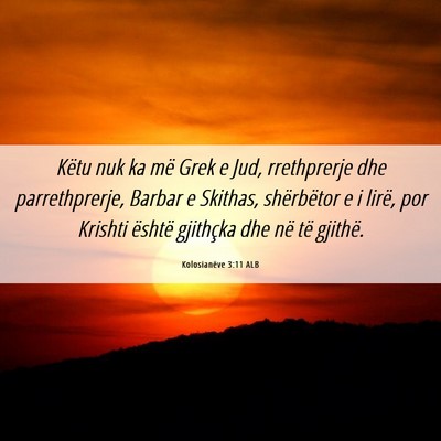 Picture 06 - Kolosianëve 3:11 ALB - Këtu nuk ka më Grek e Jud, rrethprerje dhe - Bible Verse Picture