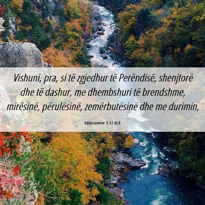 Picture 06 - Kolosianëve 3:12 ALB - Vishuni, pra, si të zgjedhur të Perëndisë, - Bible Verse Picture