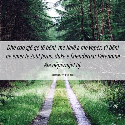 Picture 06 - Kolosianëve 3:17 ALB - Dhe çdo gjë që të bëni, me fjalë a me - Bible Verse Picture