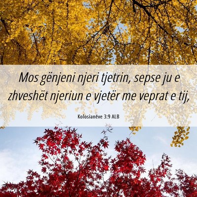Picture 06 - Kolosianëve 3:9 ALB - Mos gënjeni njeri tjetrin, sepse ju e zhveshët - Bible Verse Picture