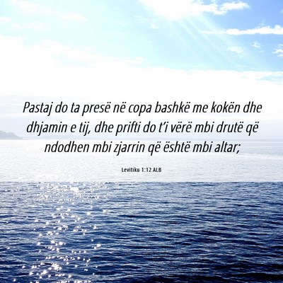 Picture 06 - Levitiku 1:12 ALB - Pastaj do ta presë në copa bashkë me kokën - Bible Verse Picture