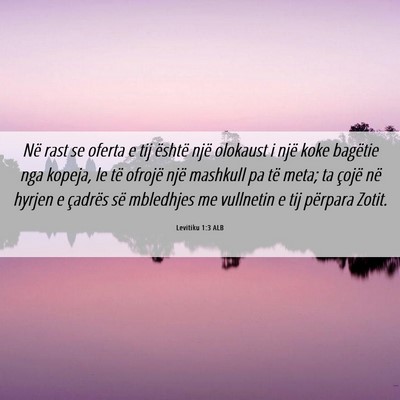 Picture 06 - Levitiku 1:3 ALB - Në rast se oferta e tij është një olokaust i - Bible Verse Picture