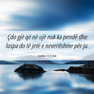 Picture 06 - Levitiku 11:12 ALB - Çdo gjë që në ujë nuk ka pendë dhe luspa do - Bible Verse Picture