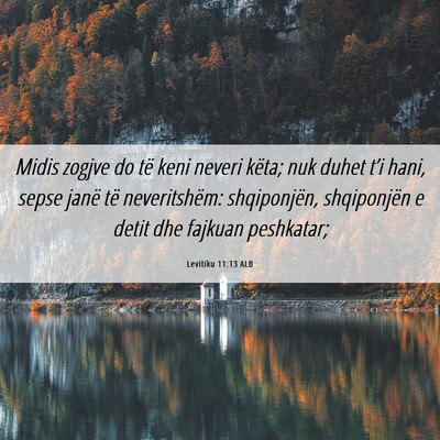 Picture 06 - Levitiku 11:13 ALB - Midis zogjve do të keni neveri këta; nuk duhet - Bible Verse Picture