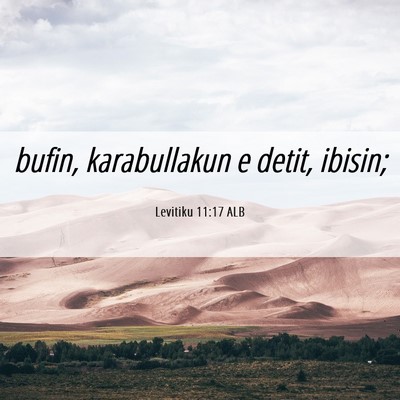 Picture 06 - Levitiku 11:17 ALB - bufin, karabullakun e detit, - Bible Verse Picture