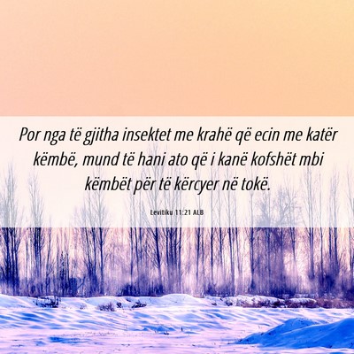 Picture 06 - Levitiku 11:21 ALB - Por nga të gjitha insektet me krahë që ecin me - Bible Verse Picture