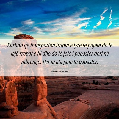 Picture 06 - Levitiku 11:28 ALB - Kushdo që transporton trupin e tyre të pajetë - Bible Verse Picture