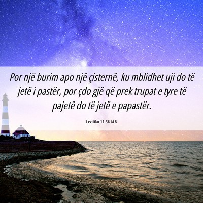 Picture 06 - Levitiku 11:36 ALB - Por një burim apo një çisternë, ku mblidhet - Bible Verse Picture