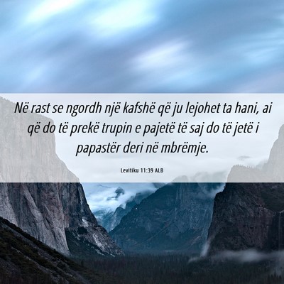 Picture 06 - Levitiku 11:39 ALB - Në rast se ngordh një kafshë që ju lejohet ta - Bible Verse Picture