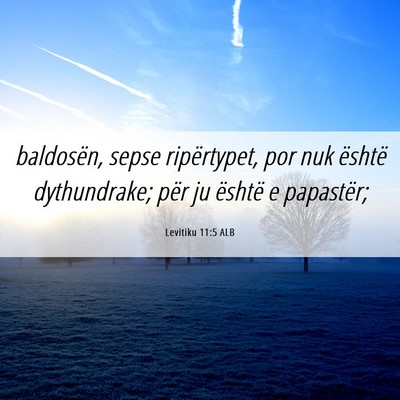 Picture 06 - Levitiku 11:5 ALB - baldosën, sepse ripërtypet, por nuk është - Bible Verse Picture