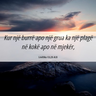 Picture 06 - Levitiku 13:29 ALB - Kur një burrë apo një grua ka një plagë në - Bible Verse Picture