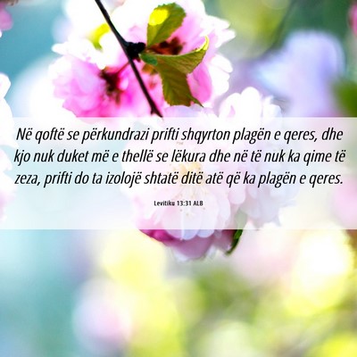 Picture 06 - Levitiku 13:31 ALB - Në qoftë se përkundrazi prifti shqyrton - Bible Verse Picture