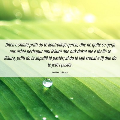 Picture 06 - Levitiku 13:34 ALB - Ditën e shtatë prifti do të kontrollojë - Bible Verse Picture