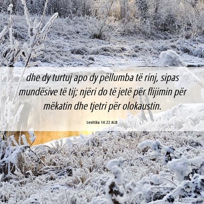 Picture 06 - Levitiku 14:22 ALB - dhe dy turtuj apo dy pëllumba të rinj, sipas - Bible Verse Picture