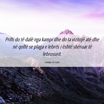 Picture 06 - Levitiku 14:3 ALB - Prifti do të dalë nga kampi dhe do ta vizitojë - Bible Verse Picture
