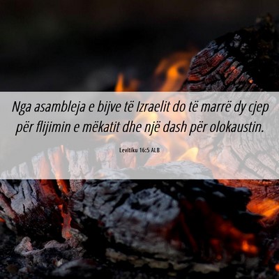 Picture 06 - Levitiku 16:5 ALB - Nga asambleja e bijve të Izraelit do të marrë - Bible Verse Picture