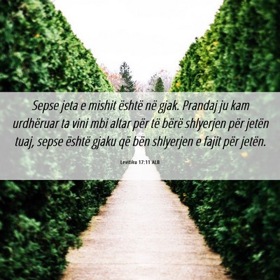 Picture 06 - Levitiku 17:11 ALB - Sepse jeta e mishit është në gjak. Prandaj ju - Bible Verse Picture