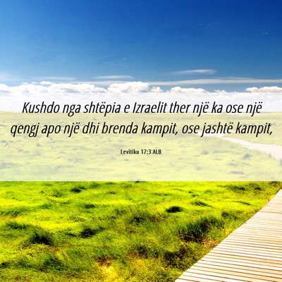 Picture 06 - Levitiku 17:3 ALB - Kushdo nga shtëpia e Izraelit ther një ka ose - Bible Verse Picture