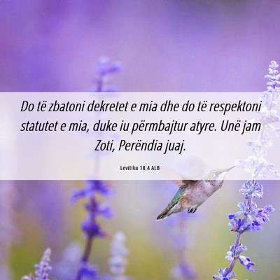 Picture 06 - Levitiku 18:4 ALB - Do të zbatoni dekretet e mia dhe do të - Bible Verse Picture