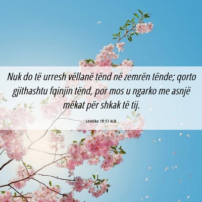 Picture 06 - Levitiku 19:17 ALB - Nuk do të urresh vëllanë tënd në zemrën - Bible Verse Picture