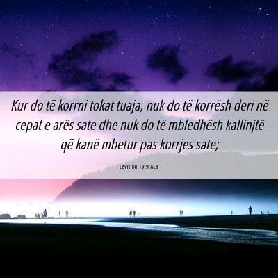 Picture 06 - Levitiku 19:9 ALB - Kur do të korrni tokat tuaja, nuk do të - Bible Verse Picture