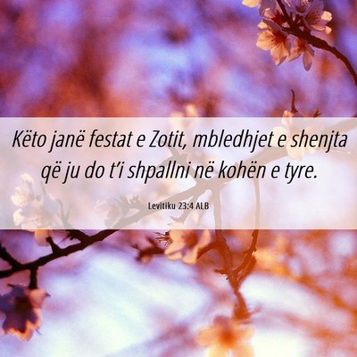 Picture 06 - Levitiku 23:4 ALB - Këto janë festat e Zotit, mbledhjet e shenjta - Bible Verse Picture
