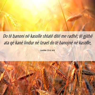 Picture 06 - Levitiku 23:42 ALB - Do të banoni në kasolle shtatë ditë me - Bible Verse Picture