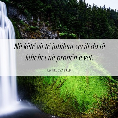 Picture 06 - Levitiku 25:13 ALB - Në këtë vit të jubileut secili do të kthehet - Bible Verse Picture